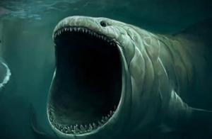 Understanding a Fearsome Deep-Sea Creature – the Giant Octopus