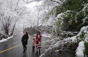 March Peach Blossom Snow: Scattered and Falling on Yaoshan