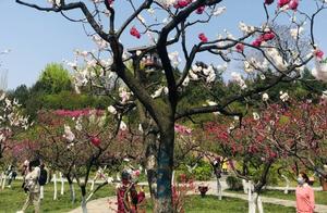 In Baocui, you must visit the Botanical Garden – it's a world of vibrant, blooming flowers.