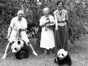 Who is the woman who brought back the pandas and how did the pandas fare? (Two pandas were captured and brought back to the United States)