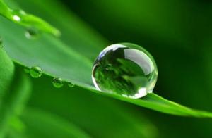 Psychology: Choose One of Four ‘Water Bubbles’ Based on Your Intuition! Test Your Ability to Find True Love