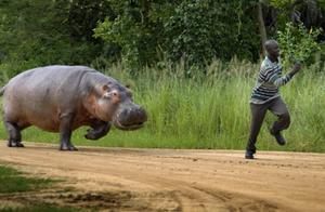 How to Escape from Hippo and Lion's Mouths Depends on Your Courage