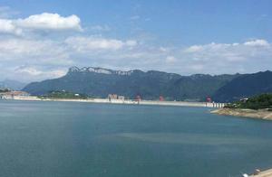 Three Gorges Lunan Oranges: Everything You Want to Know – A Delicious Fruit Recommendation?