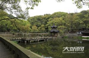 Blooming Flowers Welcome Spring - Chunsan Park in Lushan Urban Area Limited Opening!