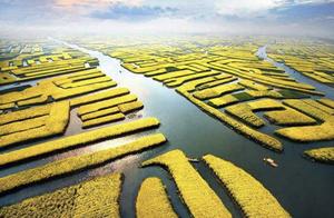 Self-Drive Trip to Tai Zhou, Jiangsu (3 Hours)! Don't Miss Wuyuan in Jiangxi, 10000+ Acres of Rapeseed Flowers for a Crowd-Free Spring Escape