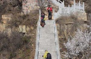 New An County, Luoyang, Jinzishan Mountain – Early Spring, February, Peach Garden Beyond Description