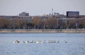 Surprise, North Lake, Visitors Have Arrived