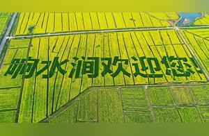 Anhui Wuhu Xiangshijian: Fields of Yellow Mustard Flowers