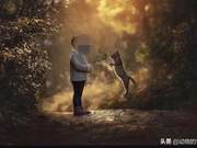 Life is Not a Prop! Photographer Abuses Cats for Creative Photos