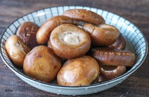 Directly washing shiitake mushrooms with water is a big mistake! Learn this little trick, dirt and insects will obediently run away.