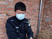 Baoji Police and Citizens Team Up to Rescue a Strange Bird – Do You Know It?