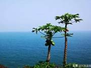Seize the Present, Enjoy Life, Life Has No 'Ifs,' Only Consequences and Results