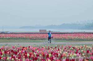 The flowering season has arrived, enjoying cherry blossoms at Xinglong Lake. #My Perspective on Spring#