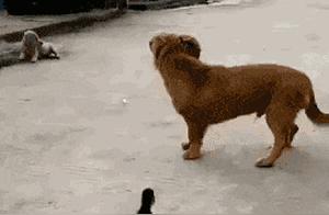 Just to Make You Smile Every Day
