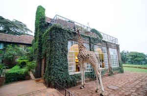 Travel to Explore the World: A Review of 10 Unusual Hotels That Will Impress You!