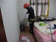 Toxic Snakes Invade Bedroom, Girl Rushes for 'Rescue'