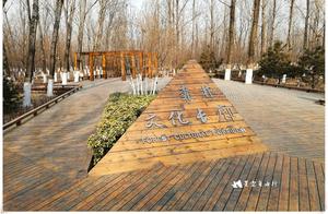 The Origin of Beijing Ducks is Hidden in Shunyi Binhe Forest Park! Free and Worth Visiting