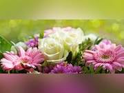 Fate dictates, don't reject; no destiny, don't seek; those who come, welcome; those who leave, send blessings.