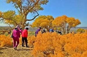 Autumn Self-Driving Tour in Northwest Xinjiang