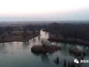 Heyang: Wetlands Teeming with Birds, a Picturesque Scene