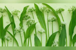 Green is also a sophisticated color.