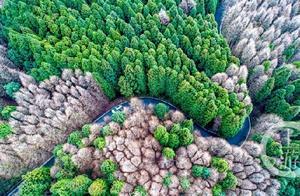 Colorful Wangping Mountain, Stunning in All Seasons
