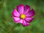 Humanity: It's not physical exhaustion we fear, but a weary heart.