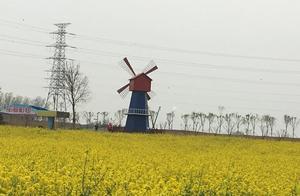 A Flower Sea Town That Can Be Enjoyed for the Price of a Pack of Cigarettes