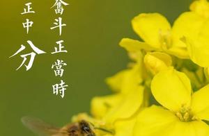 Spring Colors in Full Bloom, Time for Struggle - Every Screen is a Wallpaper