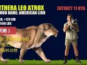 15 Species of Large Felines (Most Extinct)