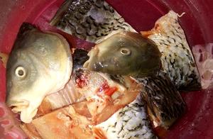 This Sour and Sweet Carp is Really Delicious - Detailed Recipe and Steps, Learn It Now!