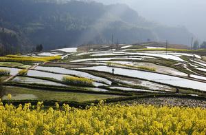 Daizhou, Sichuan: Terraced Fields in Spring