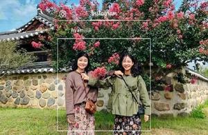 How to Shoot Spring Scenery, Flower Viewing and Photography? Still Worried About Not Breaking Your Friends' Circles?