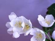 No matter how deep the feelings, they will never remain unchanged. Letting go of someone truly is not so difficult.