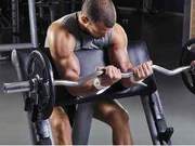 Supplements Most Loved by Fitness Enthusiasts During Fat Loss