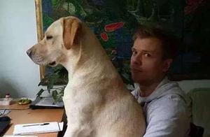 Just How Attached Are Dogs? You'll Know If You Own One