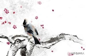 Listen to the Call of the Spring Breeze, Appreciate the Quiet Beauty of Winter Snow, and Await the Arrival of Spring
