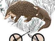 Protect Pangolins, Protect Ourselves!