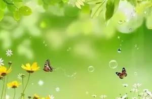 Essay: A Letter to Spring