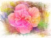 Life is short, why not be serene.