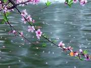February Breeze Brings Rain