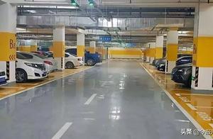 Spring Bloom Season, Luoyang City Announces Parking Details for 14 Open Attractions!