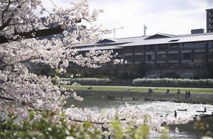 Hotel Design - 010 | The Ritz-Carlton Kyoto (Japan)