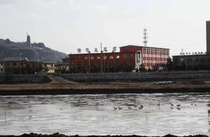 Xinhu: 11 White Swans Take Up Residence in Jingyue Fenhe Wetland