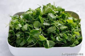 This wild vegetable is in season, making pies with it is fragrant, tender, and delicious – the more you eat, the more fragrant it becomes.