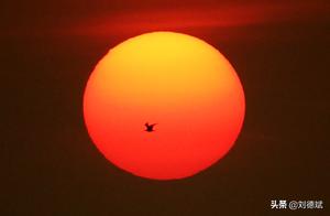 Dalian Rat New Year's Day Sunrise