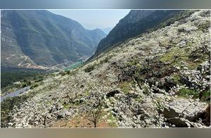 Wulong: 6 Themed Activities & 7 Boutique Routes - Your Eat, Stay, Play, & Buy Experience