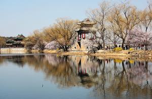Beijing: Plum Blossoms in the Yiheyuan Garden Bloom Like a Painting
