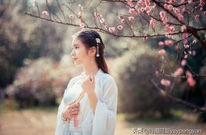 Winter Passes, Plum Blossoms Bloom