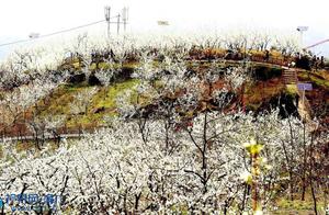 Qingjiang, Chongqing: Developing Rural Tourism Through Agricultural Integration